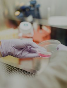 DohaDebates-genetics-full