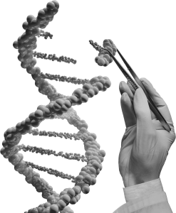 Genetics-cutout