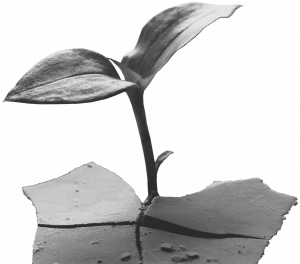 DohaDebates-WaterScarcity-cutout