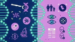 DOHA-Genetic-Engineering