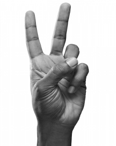DohaDebates-PeaceTech-cutout-1